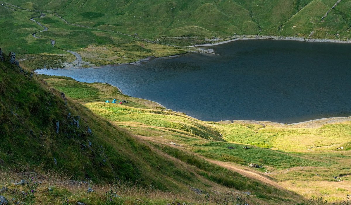 Avoiding midges and ticks on summer walks